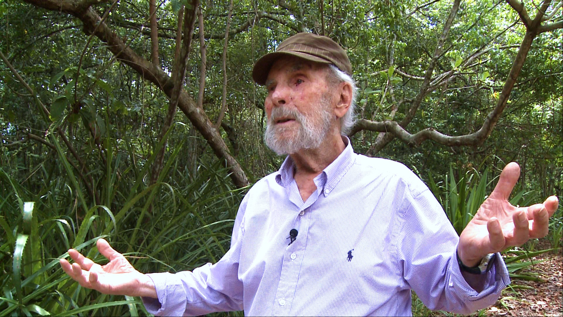 Frans Krajcberg