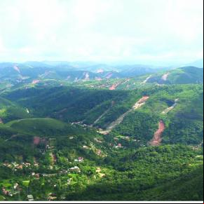 Mata Atlântica em perigo
